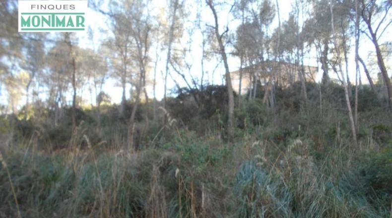 Barcelona - Olivella - 623m2