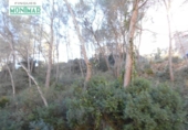 Suelo urbano en venta en la España, Olivella, ref: TR115345 foto