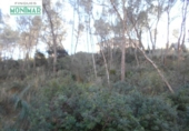 Suelo urbano en venta en la España, Olivella, ref: TR115345 foto