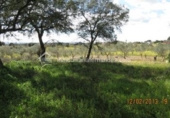 Terreno no urbanizable en venta en la España, Arroyo de la Luz, ref: TR115685 foto