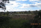 Terreno no urbanizable en venta en la España, Arroyo de la Luz, ref: TR115685 foto