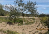 Terreno no urbanizable en venta en la España, Arroyo de la Luz, ref: TR115685 foto