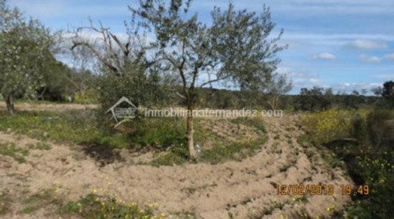 Cáceres - Arroyo de la Luz - 8200m2