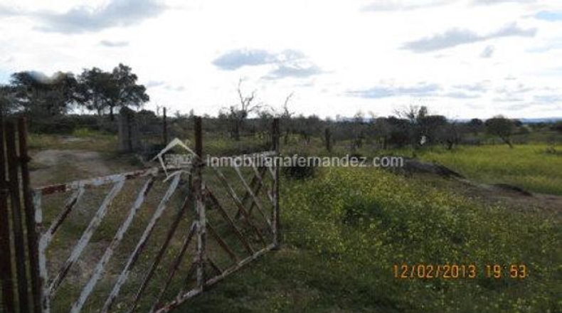 Cáceres - Arroyo de la Luz - 8200m2