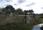 Terreno no urbanizable en venta en la España, Arroyo de la Luz, ref: TR115685 foto
