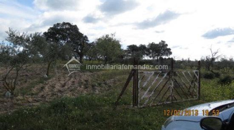 Cáceres - Arroyo de la Luz - 8200m2