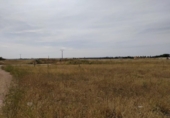 Земля на продажу у города Томельосо Фото