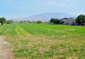 Terreno no urbanizable en venta en la España, Santomera, ref: TR115900 foto