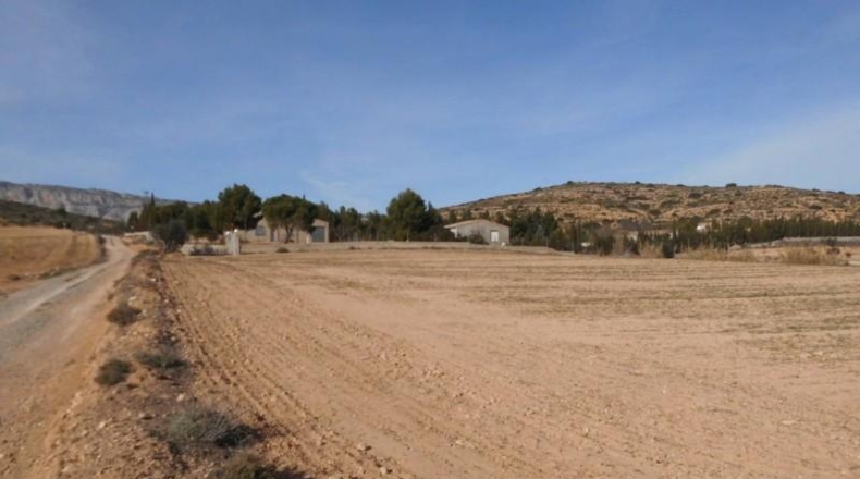 Albacete - Almansa - 11000m2
