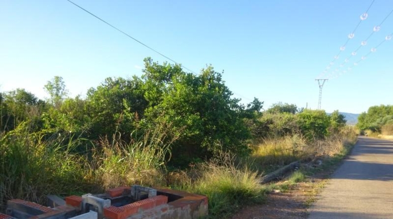 Castellón - Vila-real - 7610m2