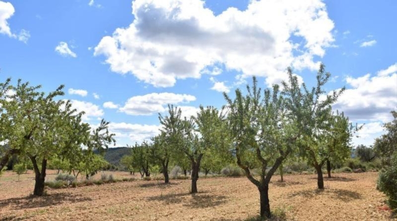 Teruel - Arens de Lledó - 11331m2
