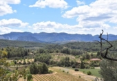 Terreno no urbanizable en venta en la España, Arens de Lledó, ref: TR311454 foto