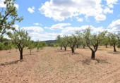 Terreno no urbanizable en venta en la España, Arens de Lledó, ref: TR311454 foto