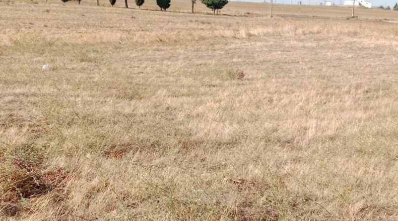 Valladolid - Matapozuelos - 567m2