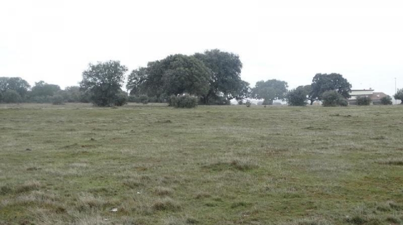 Salamanca - Buenavista - 967m2
