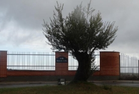 Buenavista 967&nbsp;m²