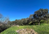 Parcela urbanizable en venta en la España, Plasencia, ref: TR394723 foto