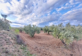 Abrucena 6319&nbsp;m²
