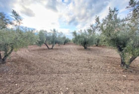 Abrucena 6319&nbsp;m²