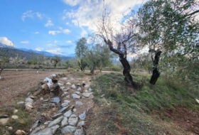 Abrucena 6319&nbsp;m²