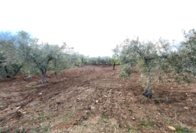 Abrucena 6319&nbsp;m²