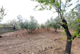 Abrucena 6319&nbsp;m²