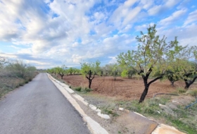 Abrucena 6319&nbsp;m²