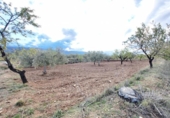Terreno no urbanizable en venta en la España, Abrucena, ref: TR394678 foto