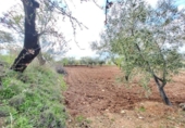 Terreno no urbanizable en venta en la España, Abrucena, ref: TR394678 foto