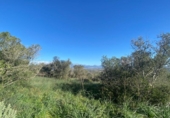 Terreno no urbanizable en venta en la España, Santa Eugènia, ref: TR383045 foto