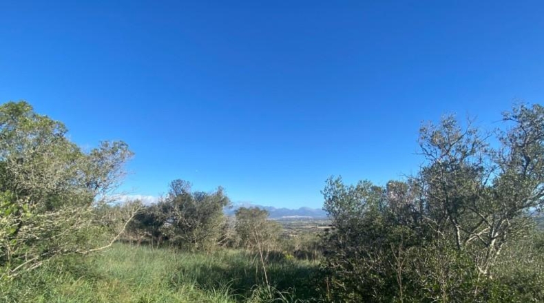 Islas Baleares - Santa Eugènia - 1477m2