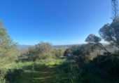 Terreno no urbanizable en venta en la España, Santa Eugènia, ref: TR383045 foto