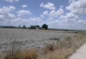 Terreno no urbanizable en venta en la España, Osuna, ref: TR113785 foto