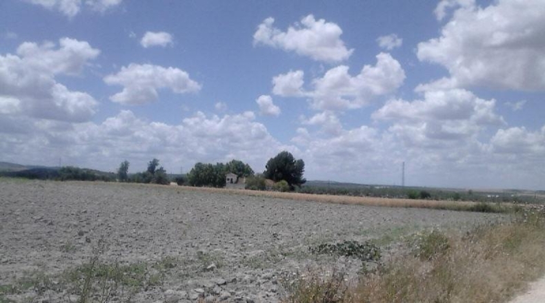 Seville - Osuna - 1898400m2