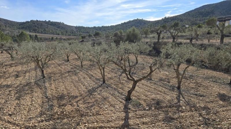 Alicante - Hondón de las Nieves - 7m2