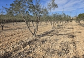 Terreno no urbanizable en venta en la España, Hondón de las Nieves, ref: TR218664 foto