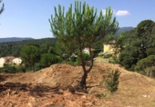 Sòl urbà en venda a la España, Tordera, ref.: TR128535 foto