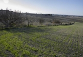 Terreno no urbanizable en venta en la España, Chiclana de la Frontera, ref: TR369728 foto
