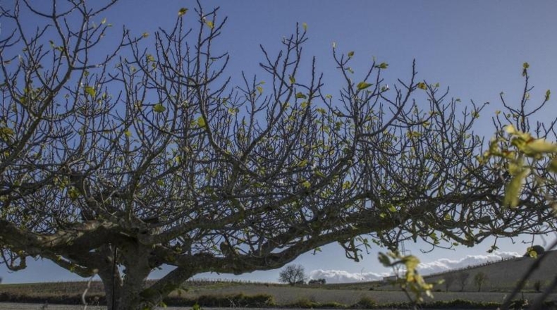 Cádiz - Chiclana de la Frontera - 2484m2