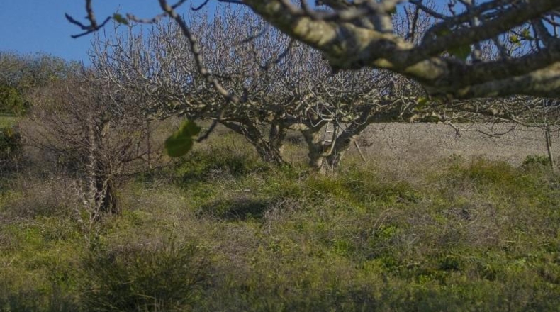 Cádiz - Chiclana de la Frontera - 2484m2