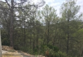 Urban land for sale on España, Olivella, ref: TR124415 photo