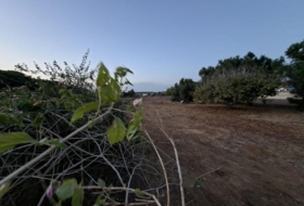 Chiclana de la Frontera 1700&nbsp;m²