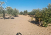 Terreno no urbanizable en venta en la España, Almonte, ref: TR346400 foto