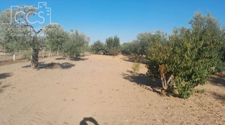 Huelva - Almonte - 15000m2