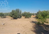 Terreno no urbanizable en venta en la España, Almonte, ref: TR346400 foto