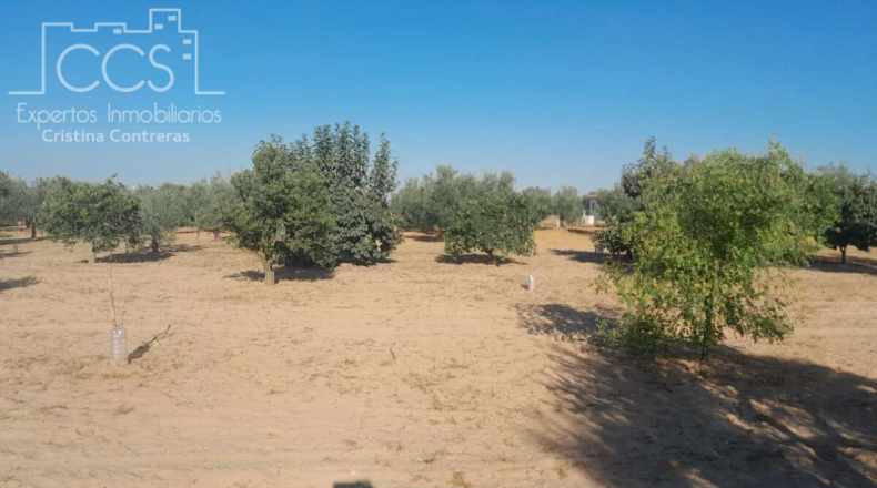 Huelva - Almonte - 15000m2