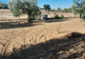 Terreno no urbanizable en venta en la España, Almonte, ref: TR346400 foto