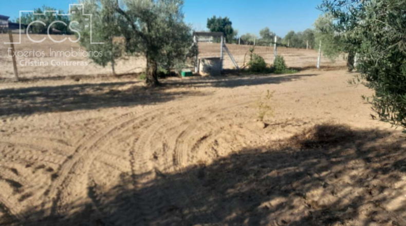 Huelva - Almonte - 15000m2