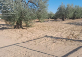 Terreno no urbanizable en venta en la España, Almonte, ref: TR346400 foto