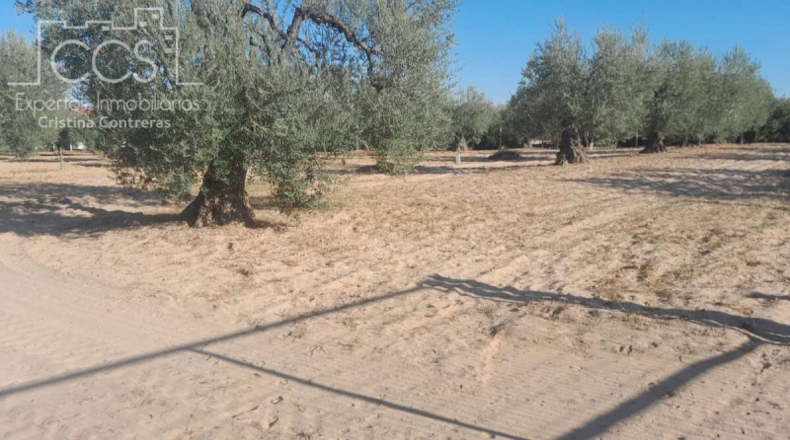 Huelva - Almonte - 15000m2